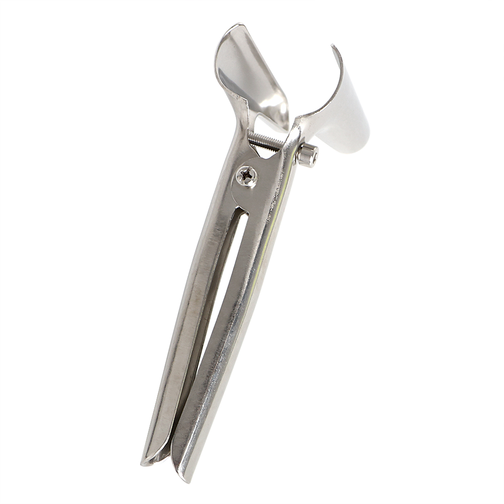 Speculum en métal godemichet A - Electronics Gadgets For Women avis et prix